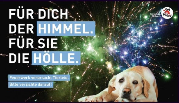 Silvester? Bitte böllerfrei!