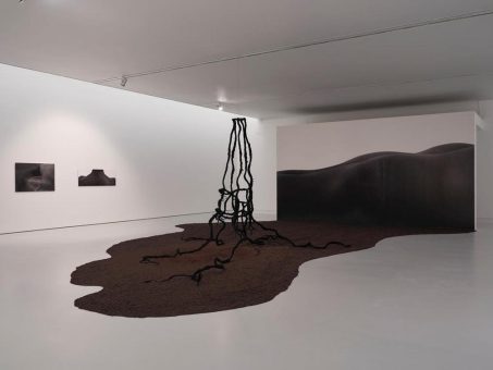 Letzte Chance: Sprich alte Haube, wo fehlt’s? in der Kunsthalle Mianz