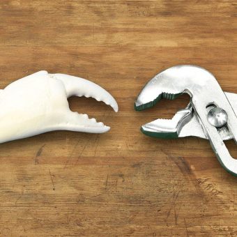 Jetzt den berufsbegleitenden Master-Fernstudiengang Konstruktionsbionik kennenlernen!