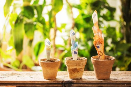 Digitaler Wegweiser durch den Förderdschungel