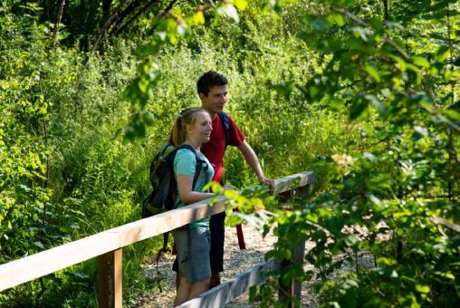 Premiumwanderweg DonAuwald –  Klimaschonendes Wandererlebnis von Anfang an