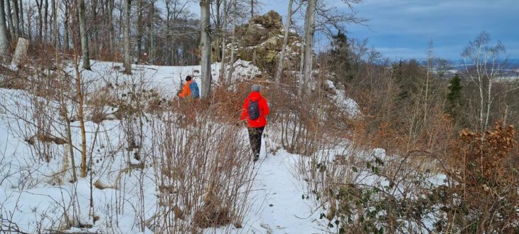 Wanderangebot des Harzklub Bad Harzburg im Monat Februar