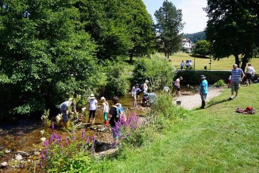 „Goldwaschen in der Alb“ startet am 28. März