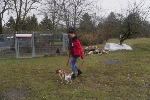 Mit Energie und Herz: Konzern-Mitarbeiter unterstützen das Tierheim und weitere soziale Einrichtungen in Weimar