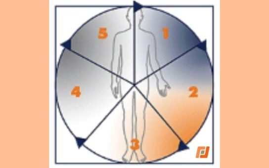 IWiG – Digitalisierung beginnt nicht mit IT – sondern mit funktionierenden Prozessen