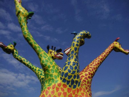 Das Kulturgewächshaus Birkenried startet in die Saison 2026 – Das Programm steht online!