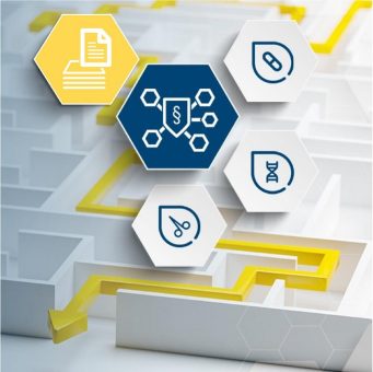 Orientierung im Regulatorik-Dschungel