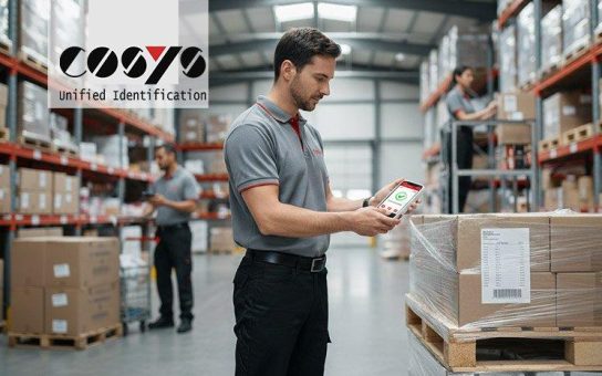 ERP-Integration bei der Inventur: Prozesssicherheit im Großhandel