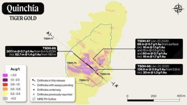 Tiger Gold durchteuft 82,7 m mit 1,4 g/t Au, enthalten in 307,1 m mit 0,7 g/t Au, bei Tesorito und identifiziert einen Vektor für die mögliche „Feeder“-Zone