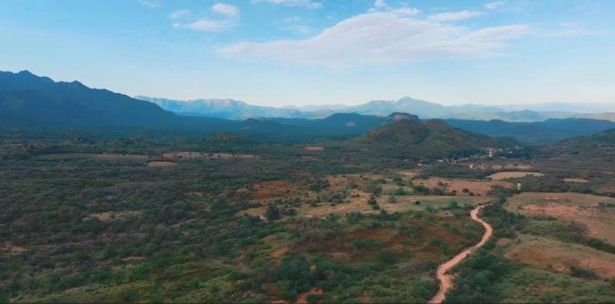 Kupfer- und Goldexplorer Algo Grande holt Top-Geologen ins Board – Adelita-Exploration vor Sprung?