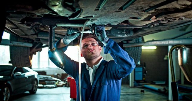 Stabile Ausbildung auf hohem Niveau – das regionale Handwerk bleibt starke Ausbildungsadresse