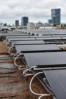 Grüne Energie vom grünen Dach