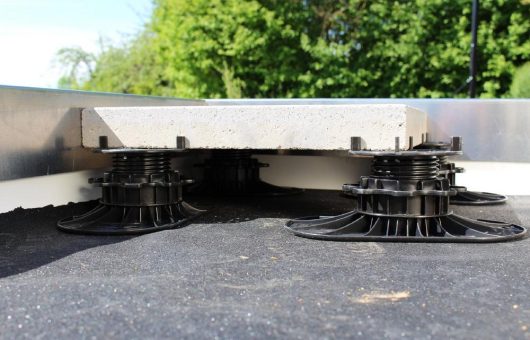 Neue Elefeet auf der „Erfolgsschiene“