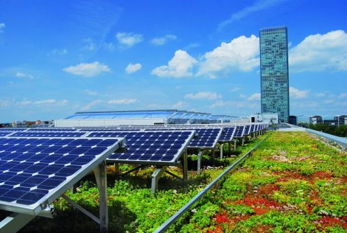 Solar und Grün passen(d) aufs Dach