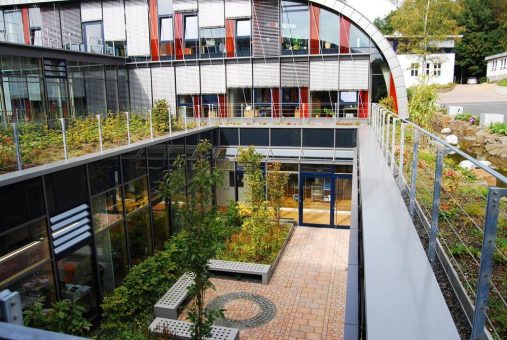 Intensive Dachbegrünung