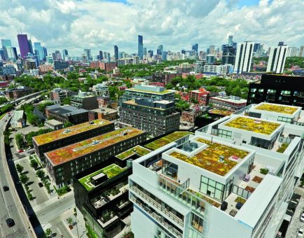 Dachbegrünungen können immer mehr