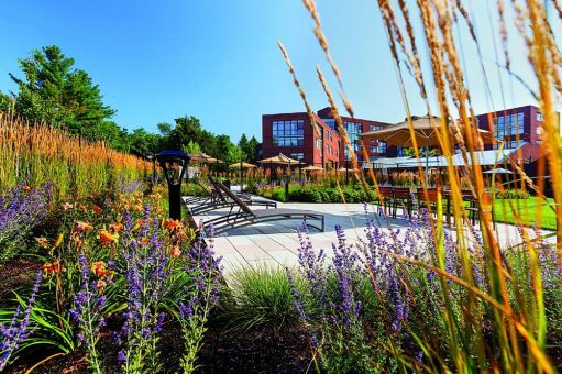 Vielseitige Dachnutzung