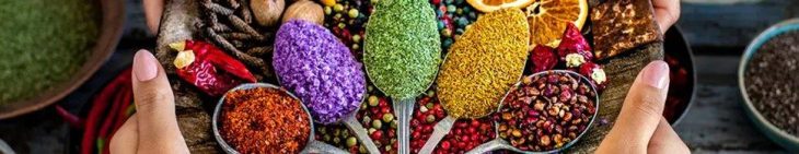 Das Handelsabkommen zwischen Indien und der EU fördert Qualität statt Preiskampf in Europa