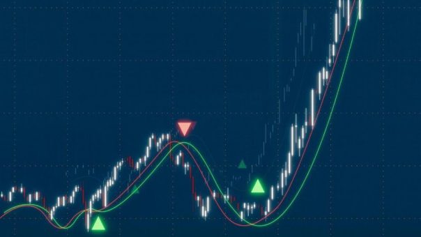 Edelmetall und PMG-Platzhirsch mit grandiosem Ergebnis und fantastischen Fortschritten!