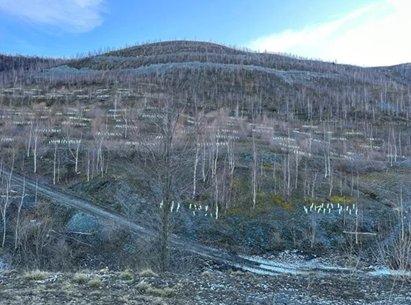 E-mobility needs raw materials