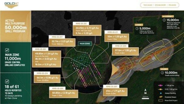 Gold X2: Grade-Control-Bohrungen in der Moss Main Zone liefern bis zu 50,85 m mit 2,18 g/t Au ab 1,15 m
