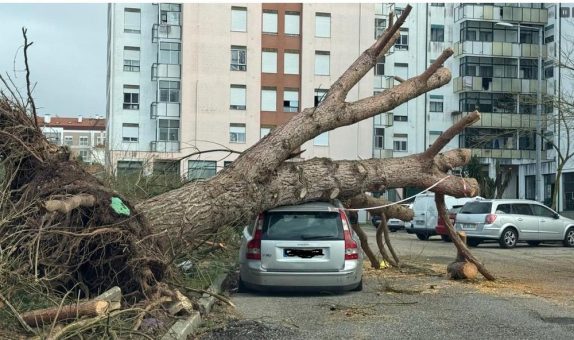 Portugal: Adventistische Kirchengemeinden und ADRA mobilisieren Hilfe nach Orkan Kristin