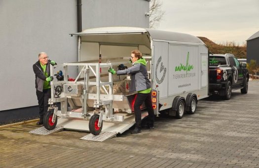 Pferdekremierung mit Struktur und Würde: Animalium begleitet Abschiede deutschlandweit