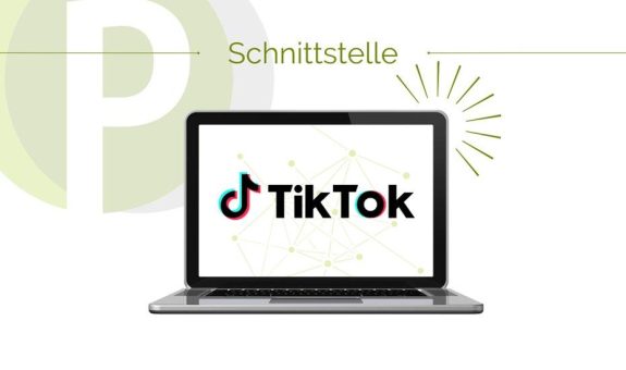 Neue TikTok-Schnittstelle: Zahlungsdaten automatisiert abrufen mit PayJoe