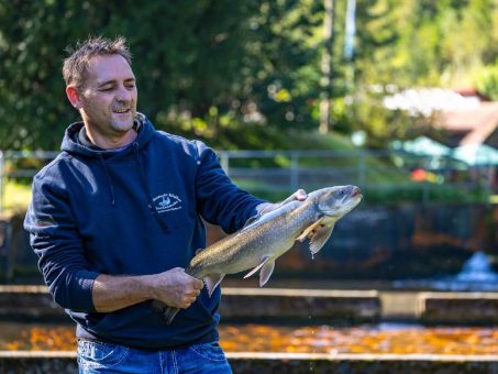 Auf den Spuren von „Schwarzwaldforelle“ und Co.