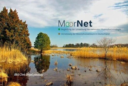 Moornet Abschlusstage