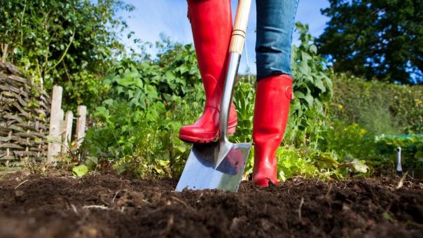 Garten aufräumen und Rasen fit machen – So gelingt es!