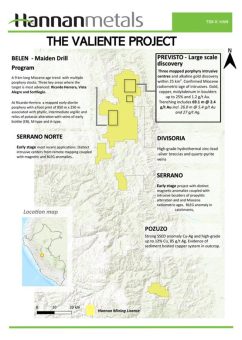 Hannan entwickelt neue hochgradige Zone 1 km südlich von Previsto mit bis zu 6,7 g/t Gold bei mehreren Zielen