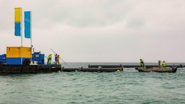 Im Kampf gegen die Quaggamuschel