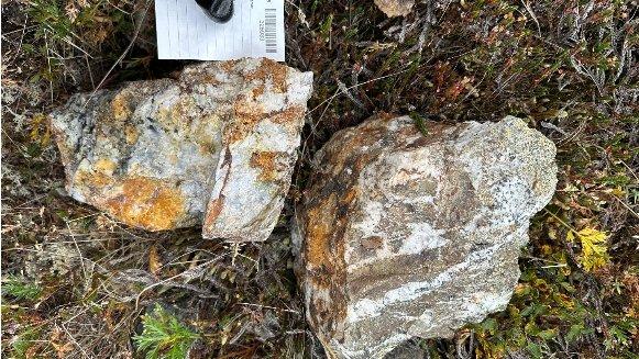 Yukon Metals ermittelt bis zu 250 g/t Gold in Gesteinsproben und erweitert Grundstückspaket bei Carter Gulch, Yukon