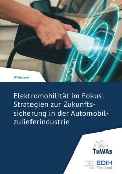 Elektromobilität: Zukunftssicherung für Automobilzulieferer im Strukturwandel