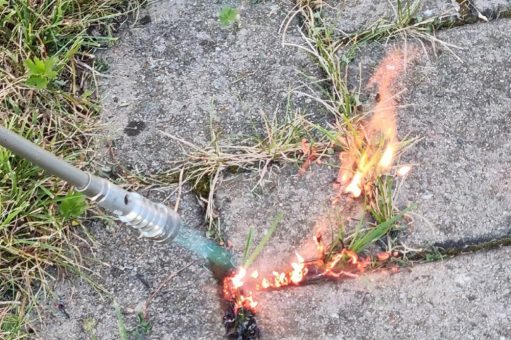 Unkrautbekämpfung kann verheerende Folgen haben