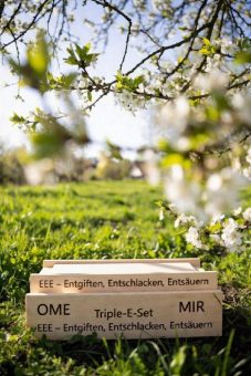 Bioenergetische Unterstützung der Entgiftung