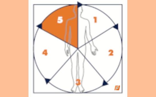 IWiG – Prozess-Evaluation: Die entscheidende Phase im Workflow-Management