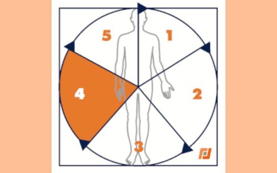 IWiG – Digitale Transformation gestalten