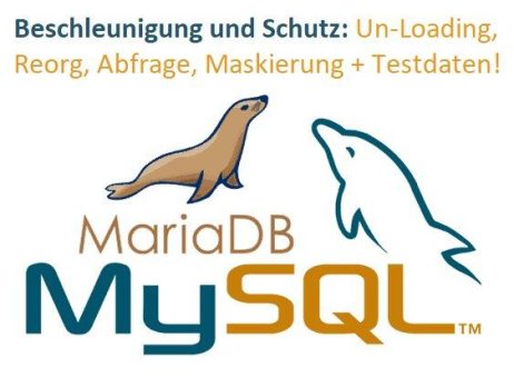 ❌ MySQL & MariaDB ❌ Schnellere und sichere Datenbank dank bewährter Lösung für zeitaufwendige Probleme ❗