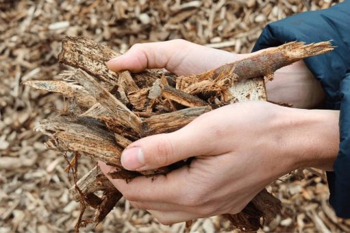 Nahwärme & Biomasse im Gastgewerbe: Das Erfolgsmodell Wasem Kloster Engelthal