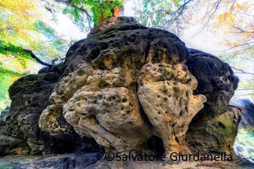 Adventure Wien Outdoor Messe 2019