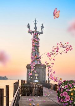 Konstanzer BlumenBälle lassen das Paradies aufblühen