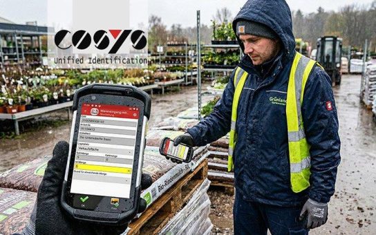 Lagerverwaltungssoftware im Einzelhandel: Prozessoptimierung für Bau- und Gartenmärkte