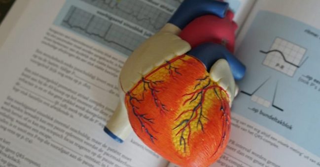 Kenntnisprüfung vs. Anpassungslehrgang