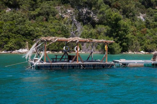 Costa Kreuzfahrten: Neue „National Geographic Tagestouren“ für Gäste