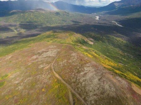 Die Gans, die goldene Eier legt