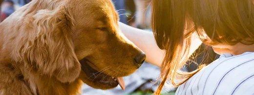Zähneputzen beim Hund? Mit diesen 5 Tricks klappt es ganz entspannt