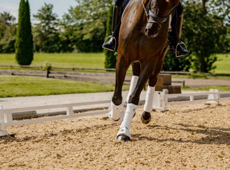 Reitplatzbau mit System –