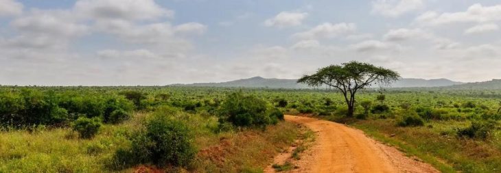 Avanti Gold ernennt neuen CEO und bereitet 42.000-Meter-Programm auf Goldprojekt Misisi vor